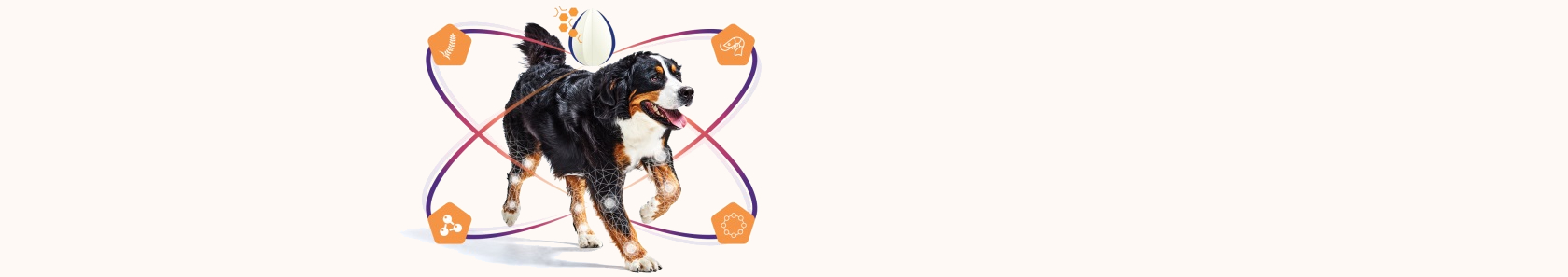 Movoflex měkké žvýkací tablety